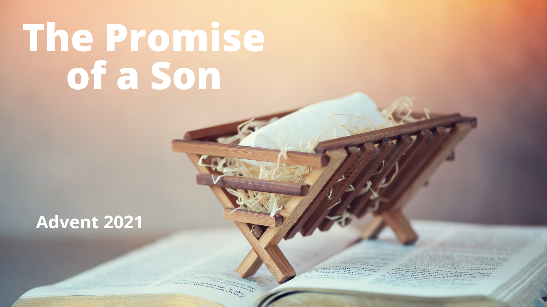The Promised Son and Our Curse-Bearing God